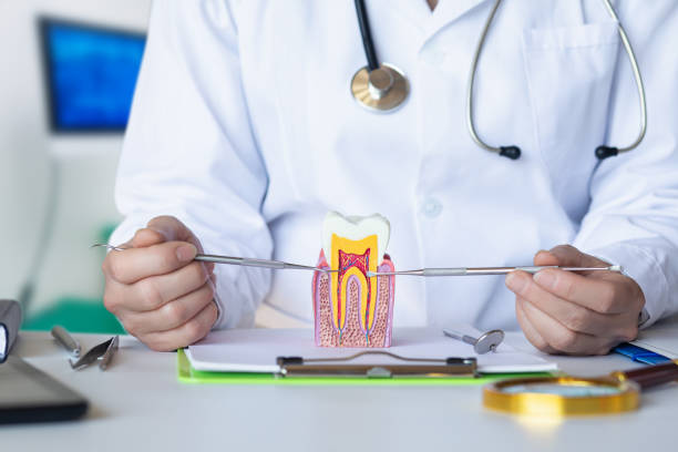Best Emergency Dental Care for Sports Injuries in Idabel, OK
